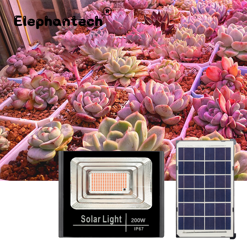 LED Full Spectrum Phyto Lamp 2 - Power Outage Light avaliação e preço