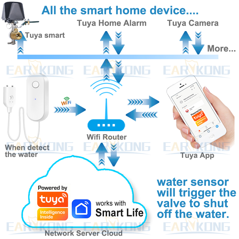 Tuya WiFi Smart Water Leak Sen - Water Alarm Sensor avaliação e preço